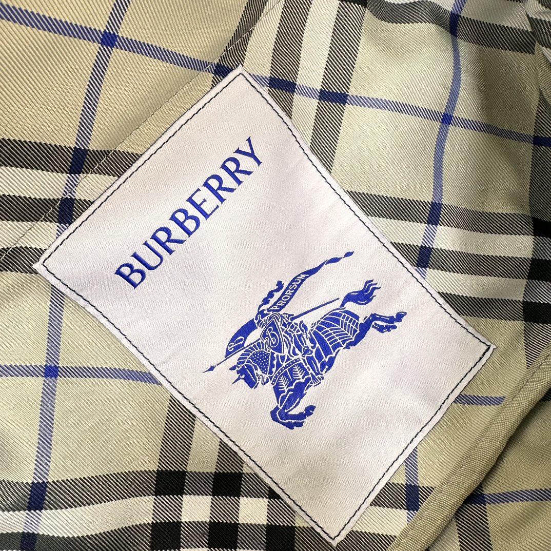 Burberry Waist Chest Packs